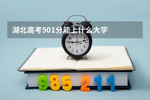 湖北高考501分能上什么大学