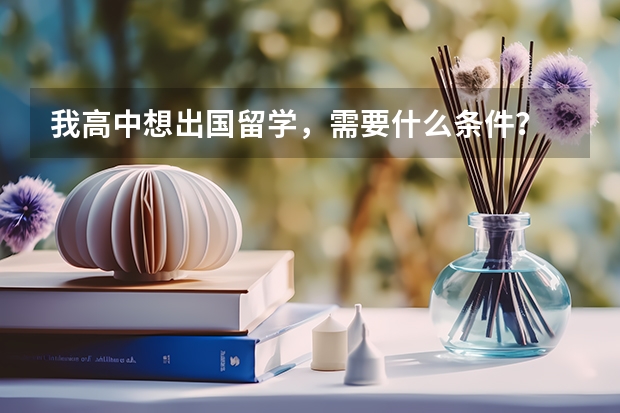 我高中想出国留学，需要什么条件？