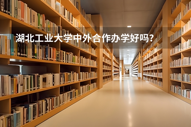 湖北工业大学中外合作办学好吗？