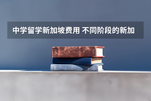 中学留学新加坡费用 不同阶段的新加坡留学费用一览