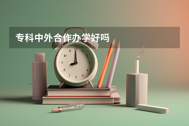 专科中外合作办学好吗