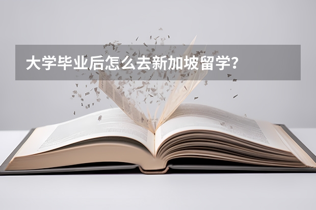 大学毕业后怎么去新加坡留学？