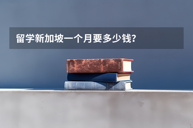 留学新加坡一个月要多少钱？