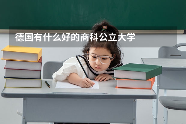 德国有什么好的商科公立大学