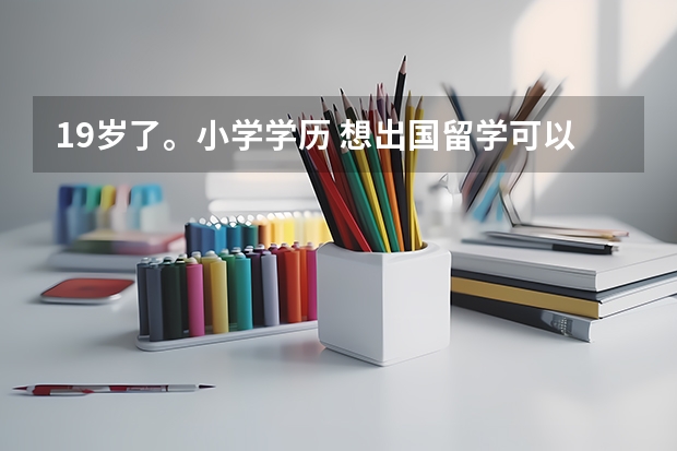 19岁了。小学学历 想出国留学可以吗？