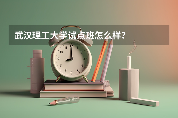 武汉理工大学试点班怎么样？