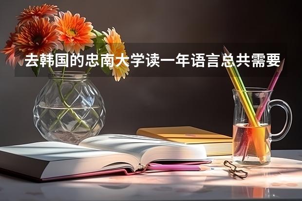 去韩国的忠南大学读一年语言总共需要多少钱？？谁能列一份清单给我？？谢谢