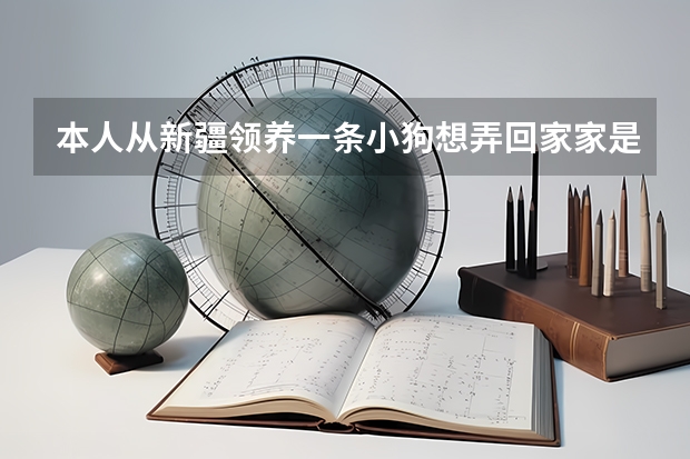 本人从新疆领养一条小狗想弄回家家是山东临沂的，想问一下从新疆空运一只小狗到临沂大约多少钱？