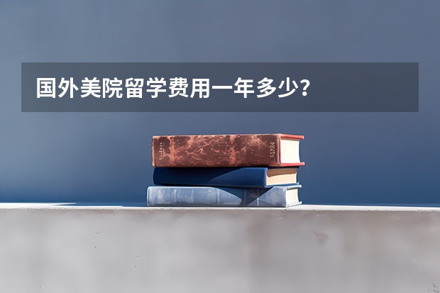 国外美院留学费用一年多少？