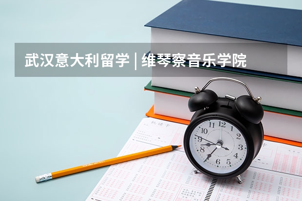 武汉意大利留学 | 维琴察音乐学院2024/2025学年入学考试信息（2024年意大利音乐留学|帕尔马音乐学院入学考试信息（声乐、艺术指导需发视频预选））