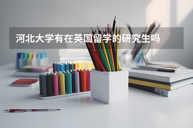 河北大学有在英国留学的研究生吗