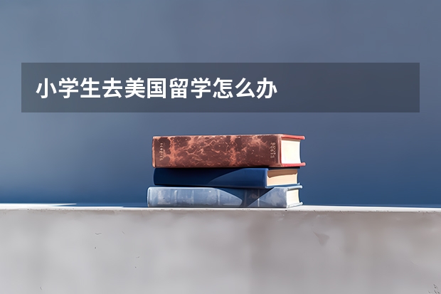 小学生去美国留学怎么办