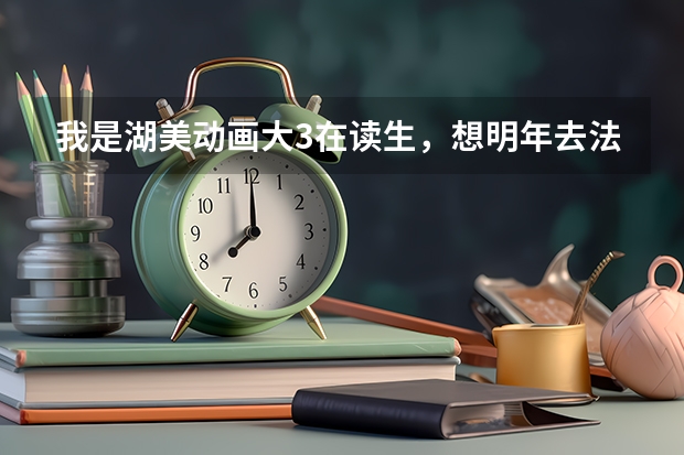 我是湖美动画大3在读生，想明年去法国留学。不了解法国艺术院校里哪些学校动画或传媒专业比较厉害？