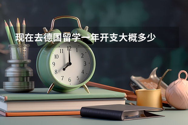 现在去德国留学一年开支大概多少