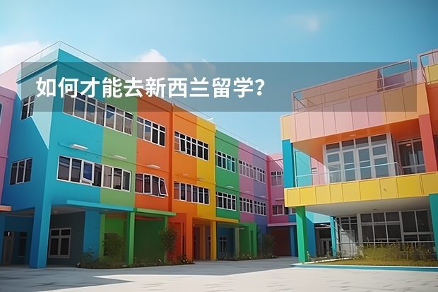 如何才能去新西兰留学？