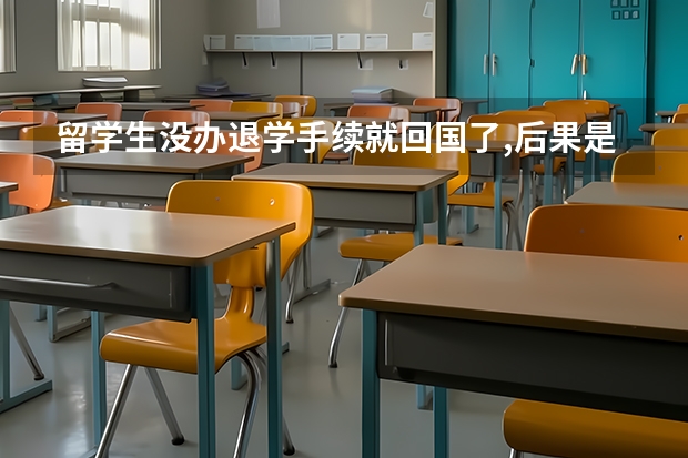 留学生没办退学手续就回国了,后果是什么情况