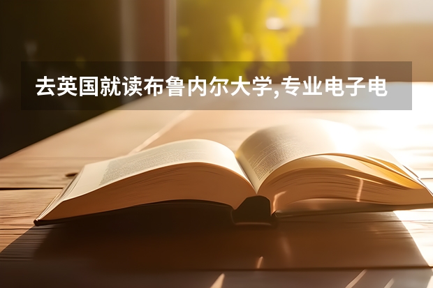 去英国就读布鲁内尔大学,专业电子电气工程毕业回新疆好就业吗?