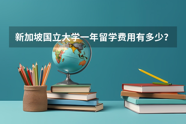 新加坡国立大学一年留学费用有多少？我来替你算算这笔账！