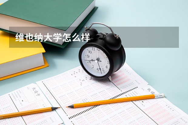 维也纳大学怎么样