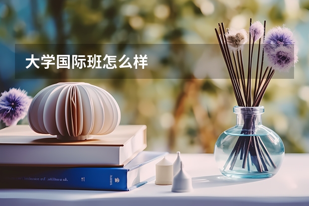 大学国际班怎么样