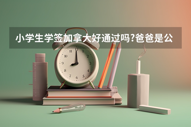 小学生学签加拿大好通过吗?爸爸是公务员