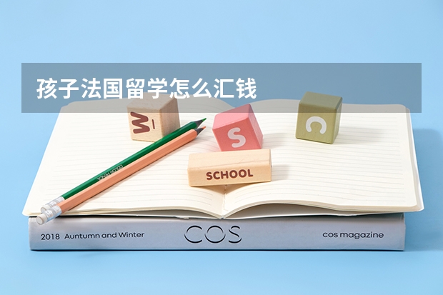 孩子法国留学怎么汇钱